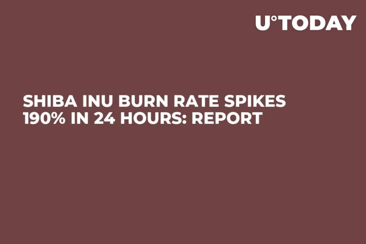Shiba Inu Burn Rate Spikes 190% in 24 Hours: Report