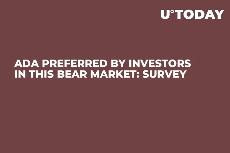 ADA Preferred by Investors in This Bear Market: Survey