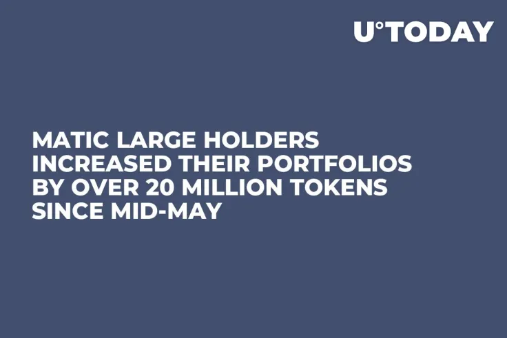 MATIC Large Holders Increased Their Portfolios by Over 20 Million Tokens Since Mid-May