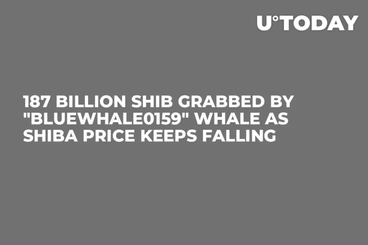 187 Billion SHIB Grabbed by "BlueWhale0159" Whale as Shiba Price Keeps Falling 