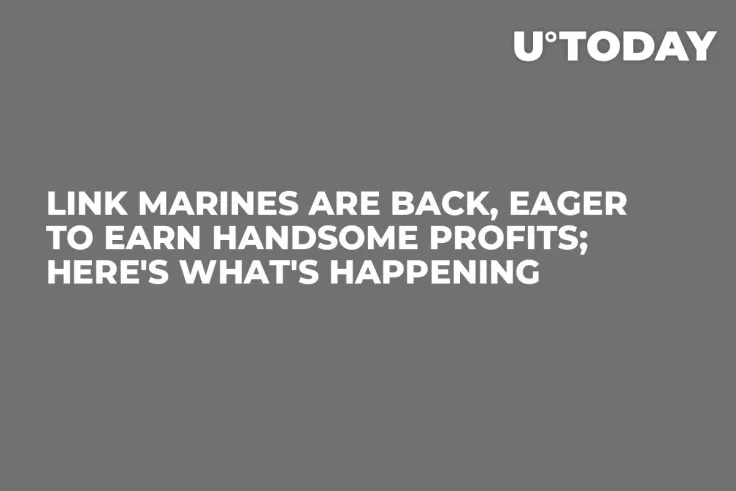 LINK Marines Are Back, Eager to Earn Handsome Profits; Here's What's Happening