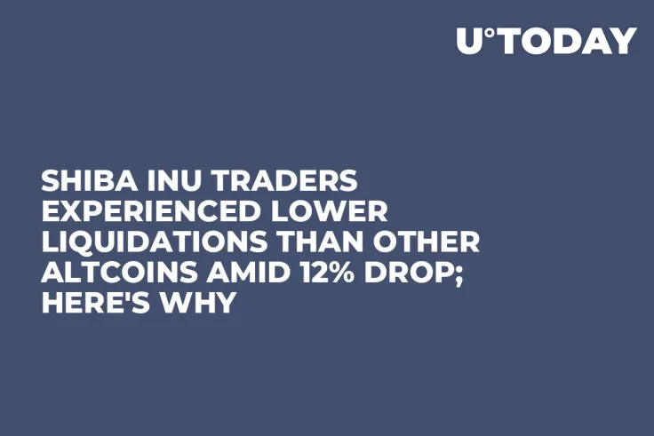 Shiba Inu Traders Experienced Lower Liquidations Than Other Altcoins Amid 12% Drop; Here's Why