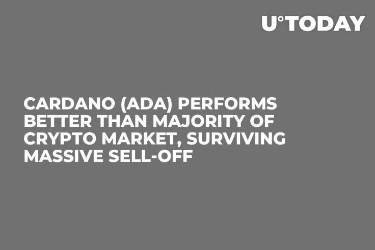 Cardano (ADA) Performs Better Than Majority of Crypto Market, Surviving Massive Sell-Off