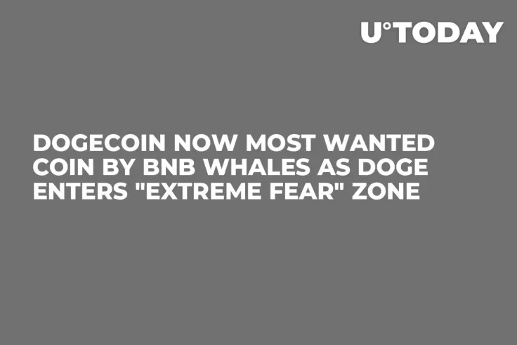 Dogecoin Now Most Wanted Coin by BNB Whales as DOGE Enters "Extreme Fear" Zone