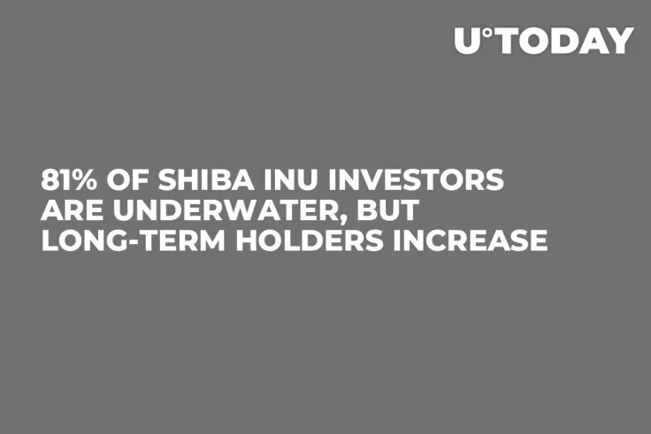81% of Shiba Inu Investors Are Underwater, But Long-Term Holders Increase