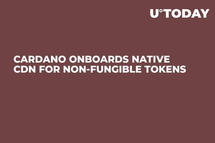 Cardano Onboards Native CDN for Non-Fungible Tokens