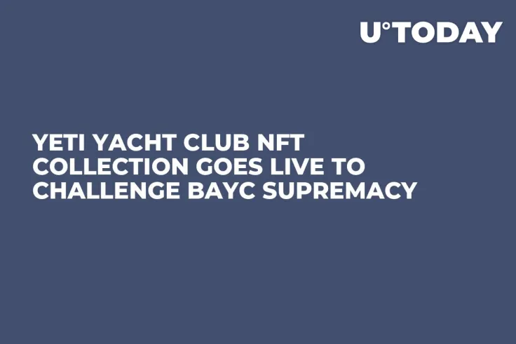 Yeti Yacht Club NFT Collection Goes Live to Challenge BAYC Supremacy