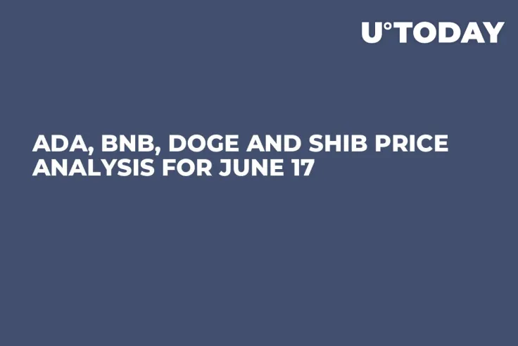 ADA, BNB, DOGE and SHIB Price Analysis for June 17