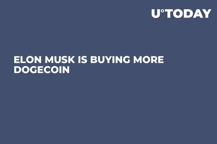 Elon Musk Is Buying More Dogecoin