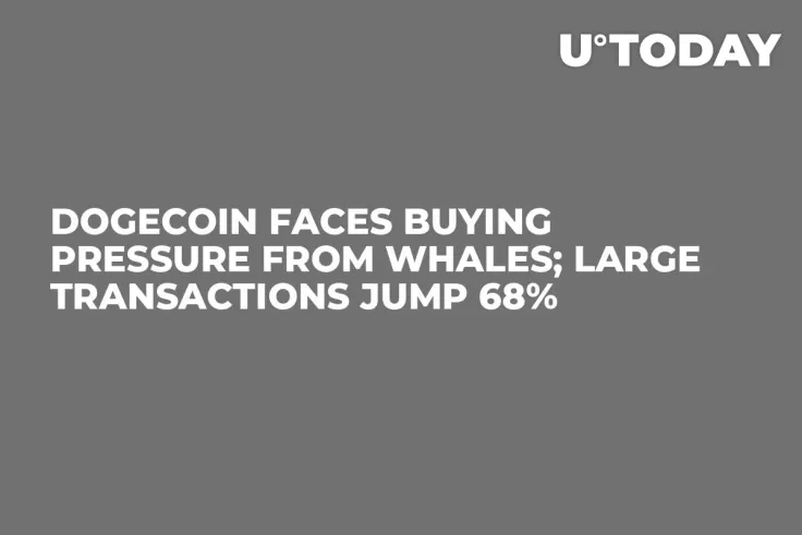 Dogecoin Faces Buying Pressure from Whales; Large Transactions Jump 68%