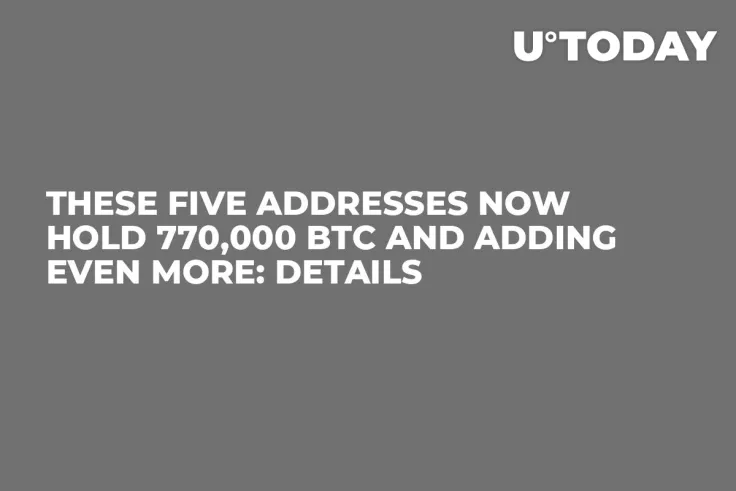 These Five Addresses Now Hold 770,000 BTC and Adding Even More: Details