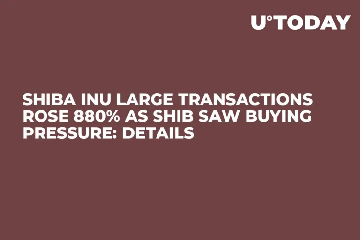 Shiba Inu Large Transactions Rose 880% as SHIB Saw Buying Pressure: Details