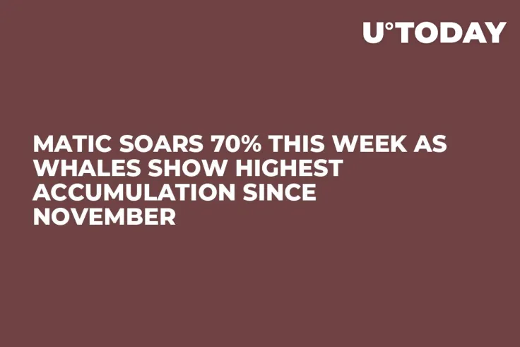 MATIC Soars 70% This Week as Whales Show Highest Accumulation Since November