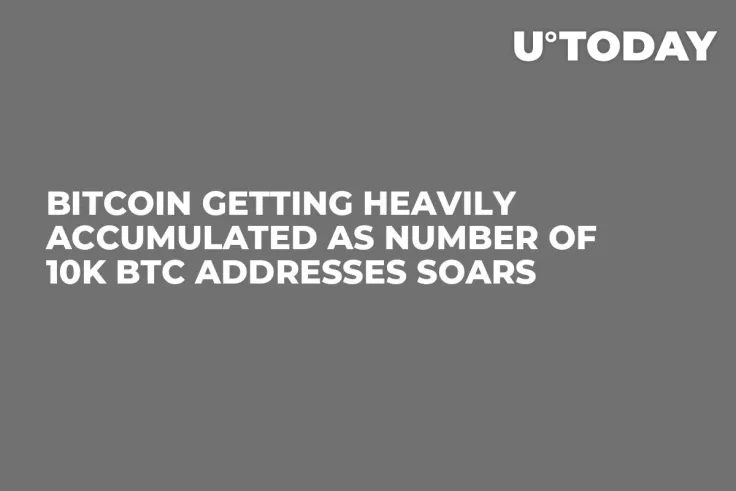 Bitcoin Getting Heavily Accumulated as Number of 10K BTC Addresses Soars