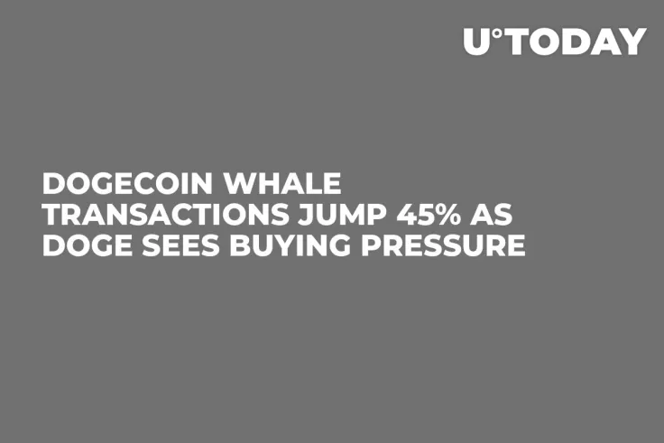Dogecoin Whale Transactions Jump 45% as DOGE Sees Buying Pressure