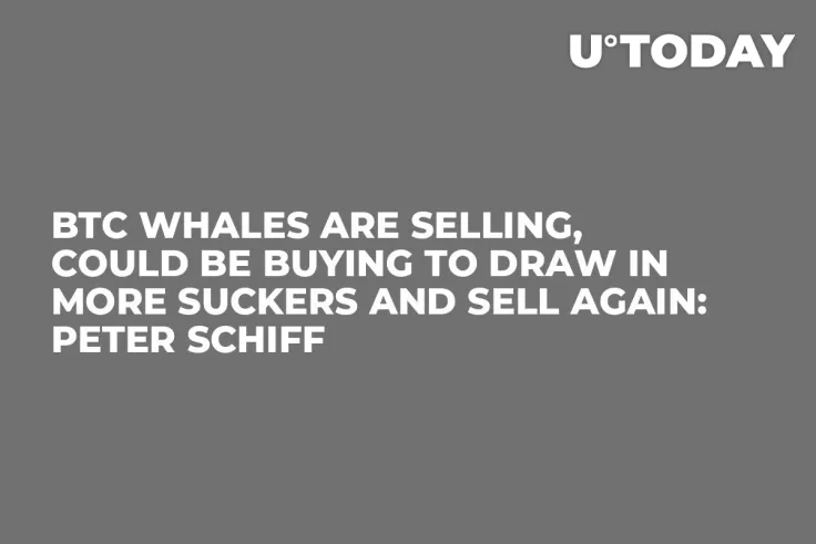 BTC Whales Are Selling, Could Be Buying to Draw in More Suckers and Sell Again: Peter Schiff