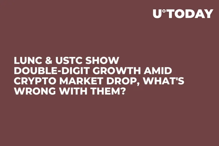 LUNC & USTC Show Double-Digit Growth Amid Crypto Market Drop, What's Wrong with Them?