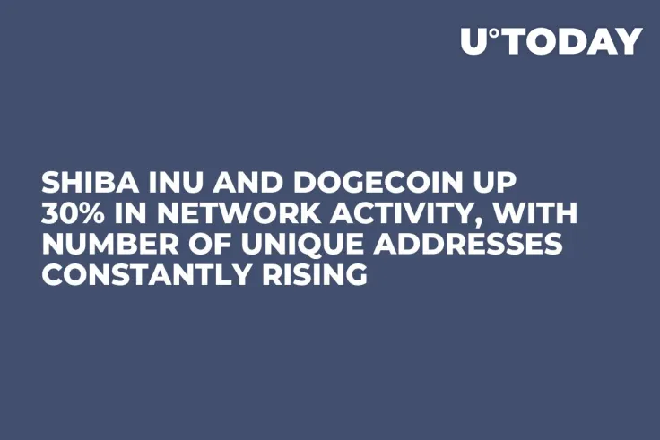 Shiba Inu and Dogecoin up 30% in Network Activity, With Number of Unique Addresses Constantly Rising