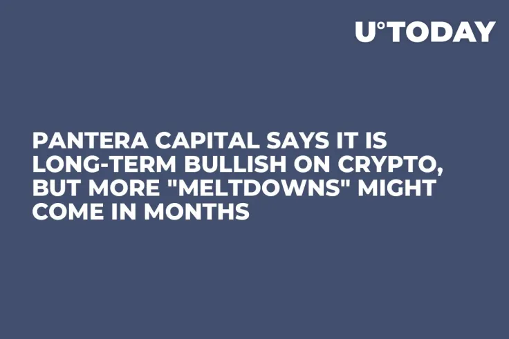 Pantera Capital Says It Is Long-Term Bullish on Crypto, But More "Meltdowns" Might Come in Months