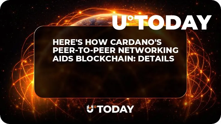 Here's How Cardano's Peer-to-peer Networking Aids Blockchain: Details