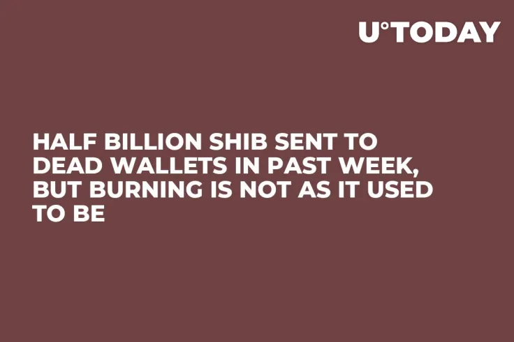 Half Billion SHIB Sent to Dead Wallets in Past Week, but Burning Is Not as It Used To Be