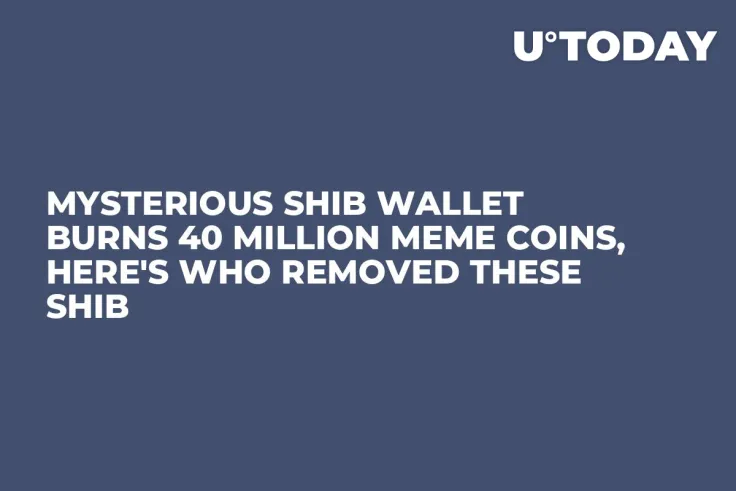Mysterious SHIB Wallet Burns 40 Million Meme Coins, Here's Who Removed These SHIB