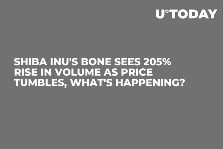 Shiba Inu's BONE Sees 205% Rise in Volume as Price Tumbles, What's Happening?