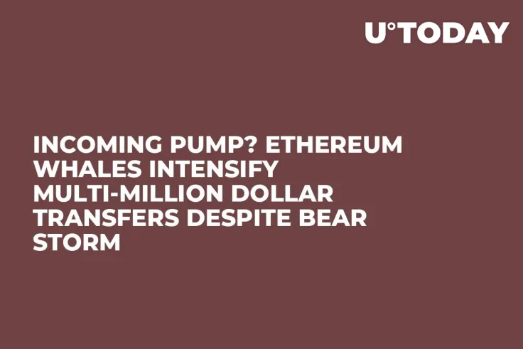 Incoming Pump? Ethereum Whales Intensify Multi-million Dollar Transfers Despite Bear Storm