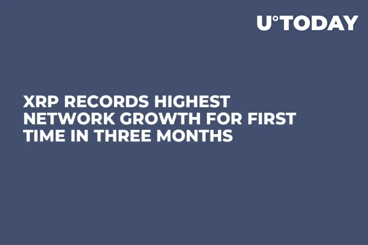 XRP Records Highest Network Growth for First Time in Three Months
