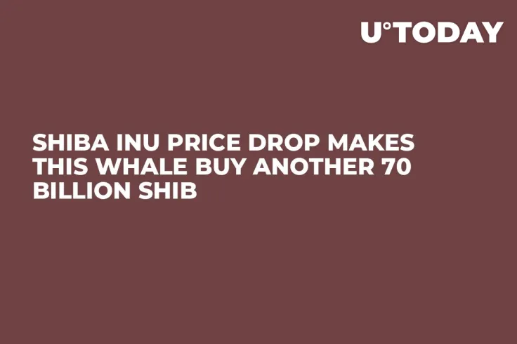 Shiba Inu Price Drop Makes This Whale Buy Another 70 Billion SHIB