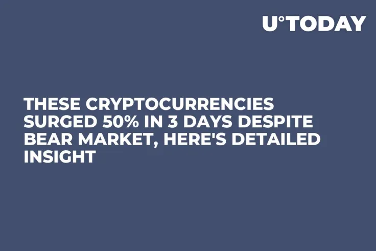 These Cryptocurrencies Surged 50% in 3 Days Despite Bear Market, Here's Detailed Insight