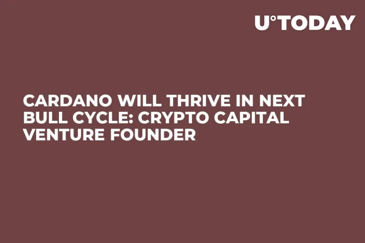 Cardano Will Thrive in Next Bull Cycle: Crypto Capital Venture Founder