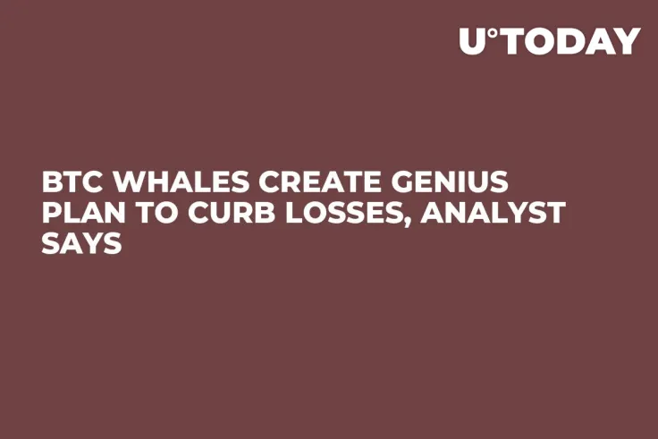 BTC Whales Create Genius Plan to Curb Losses, Analyst Says