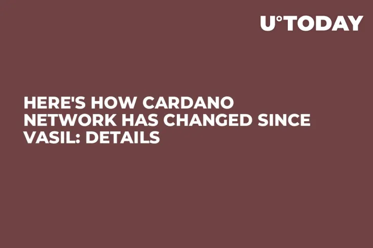 Here's How Cardano Network Has Changed Since Vasil: Details