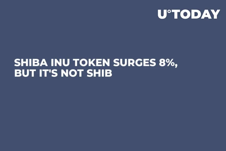 Shiba Inu Token Surges 8%, But It's Not SHIB