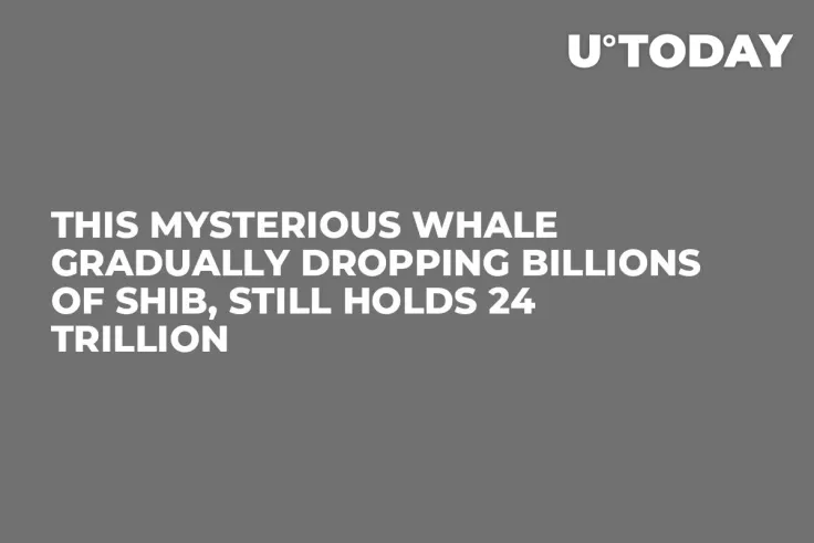 This Mysterious Whale Gradually Dropping Billions of SHIB, Still Holds 24 Trillion