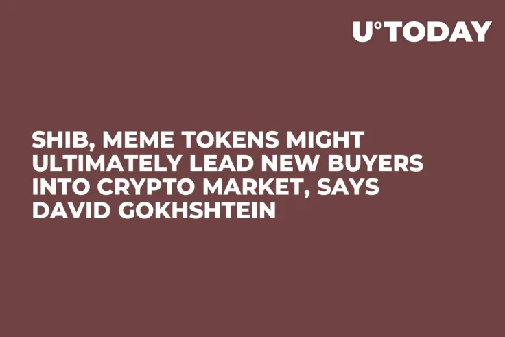 SHIB, Meme Tokens Might Ultimately Lead New Buyers into Crypto Market, Says David Gokhshtein