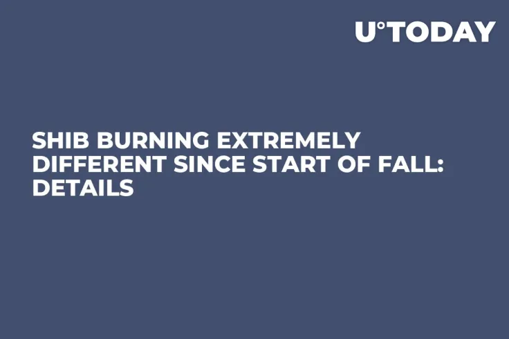 SHIB Burning Extremely Different Since Start of Fall: Details