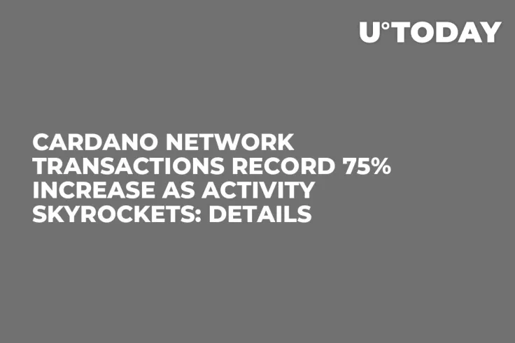 Cardano Network Transactions Record 75% Increase as Activity Skyrockets: Details