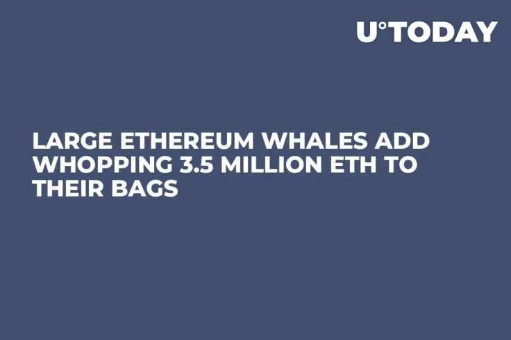 Large Ethereum Whales Add Whopping 3.5 Million ETH to Their Bags