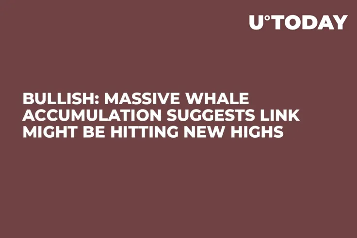Bullish: Massive Whale Accumulation Suggests LINK Might Be Hitting New Highs 
