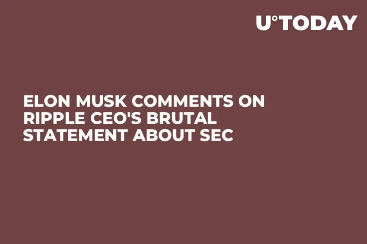 Elon Musk Comments on Ripple CEO's Brutal Statement About SEC
