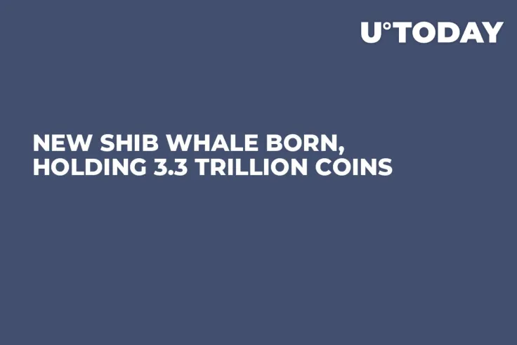 New SHIB Whale Born, Holding 3.3 Trillion Coins