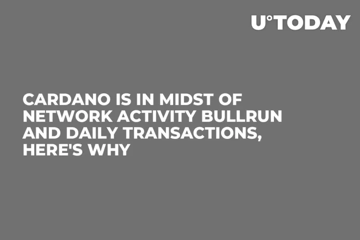 Cardano Is in Midst of Network Activity Bullrun and Daily Transactions, Here's Why