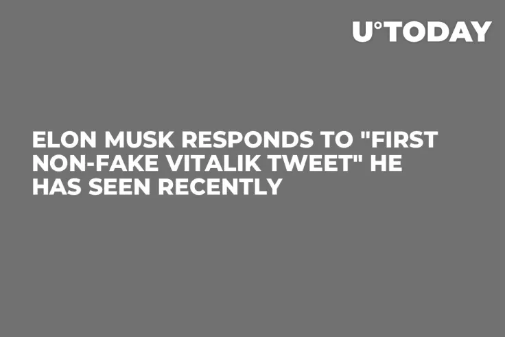 Elon Musk Responds to "First Non-Fake Vitalik Tweet" He Has Seen Recently
