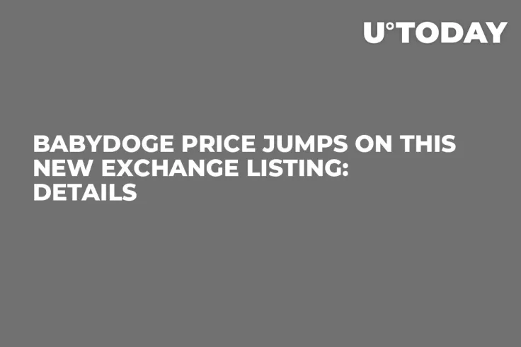 BabyDoge Price Jumps on This New Exchange Listing: Details