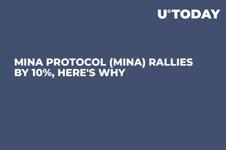 Mina Protocol (MINA) Rallies by 10%, Here's Why