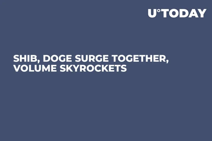 SHIB, DOGE Surge Together, Volume Skyrockets