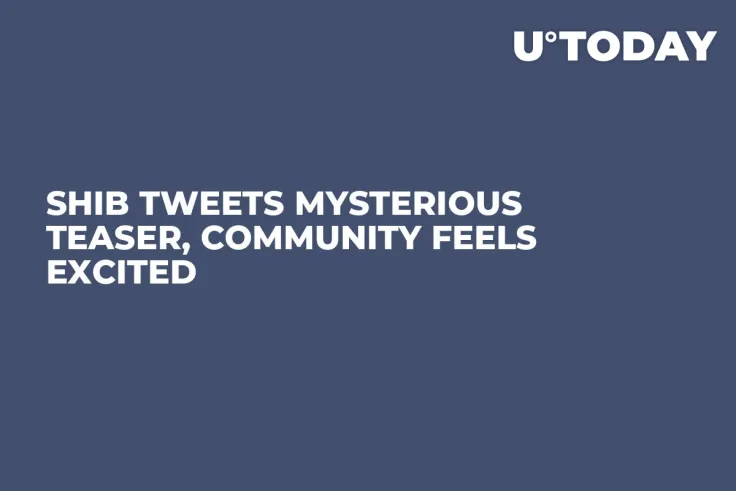 Shib Tweets Mysterious Teaser, Community Feels Excited