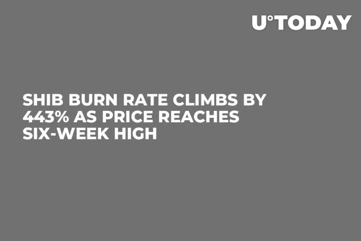 SHIB Burn Rate Climbs by 443% As Price Reaches Six-week High